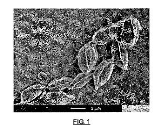 NUEVA ESPECIE DE MICROALGA Y SU APLICACION PARA CONSUMO ANIMAL, HUMANO Y EN LA OBTENCION DE CAROTENOIDES.
