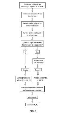 Imagen de la patente