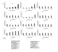 MÉTODO PARA EL CRIBADO Y/O EVALUACIÓN DE LA EFICACIA DE MEDICAMENTOS PARA EL TRATAMIENTO DE ENFERMEDADES MITOCONDRIALES Y SÍNDROME MELAS