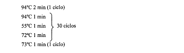 Imagen de detalle