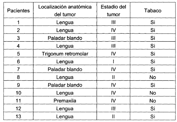 Imagen de detalle