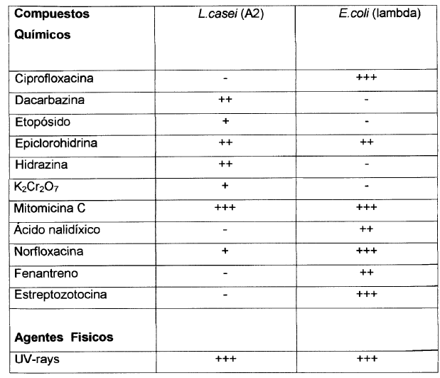 Imagen de detalle
