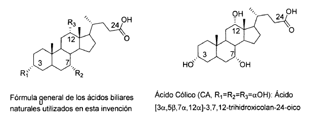 Imagen de detalle